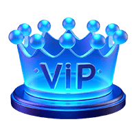 VIP PROGRAM